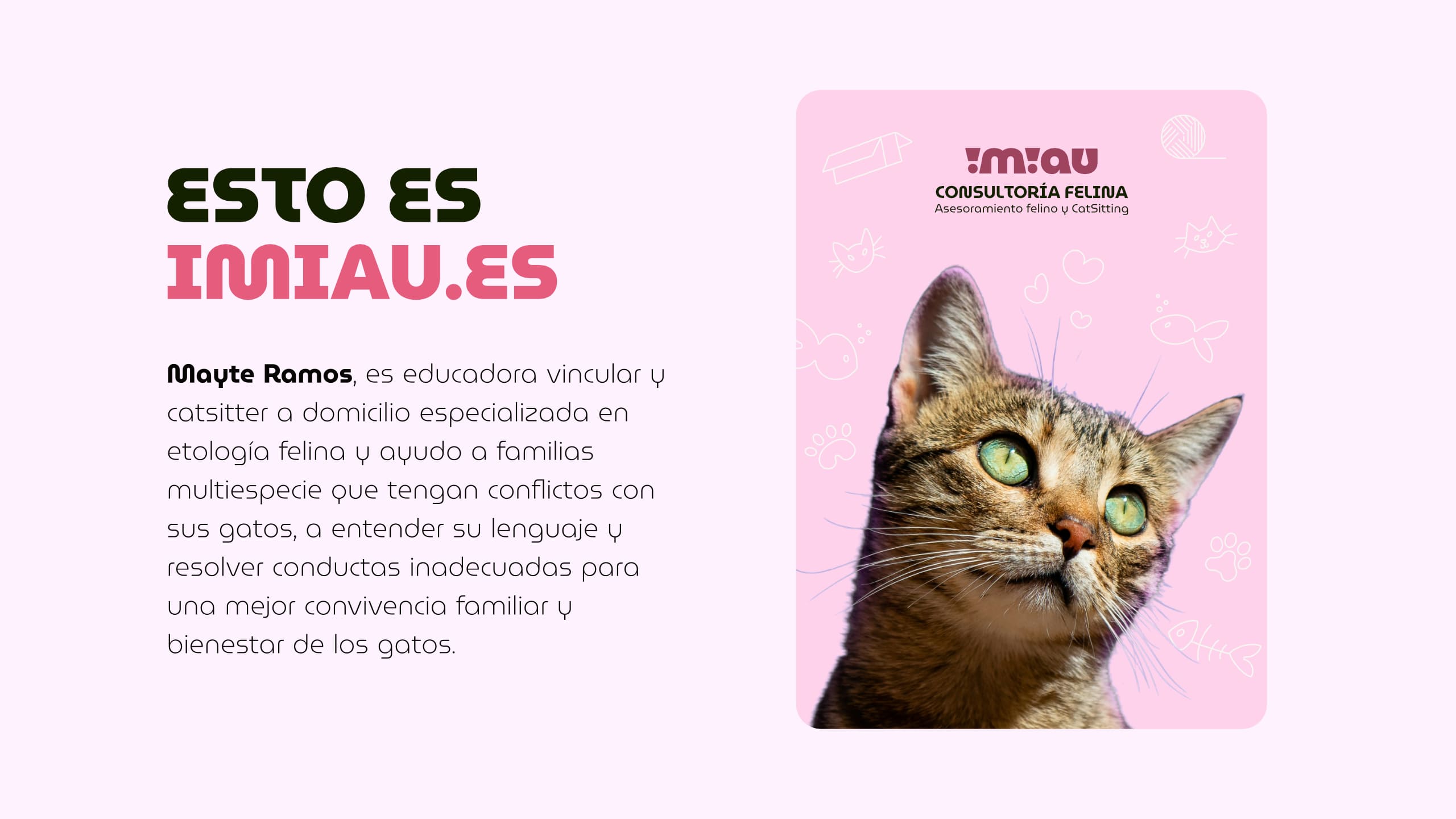 iMiau Branding Image 2