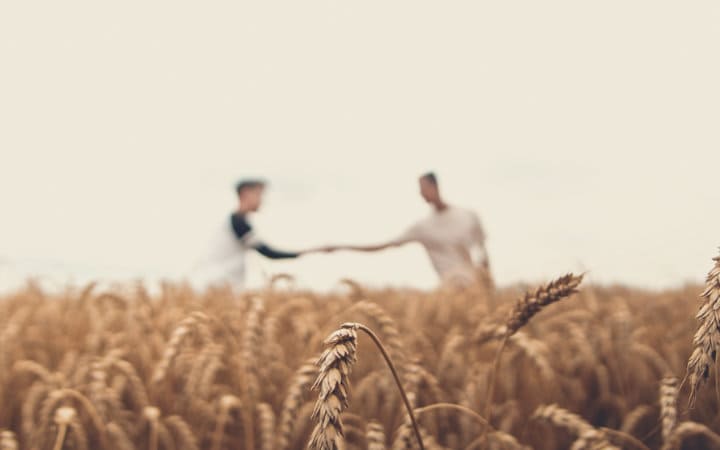Dos personas en un campo de cebada, pactando un acuerdo de colaboración.