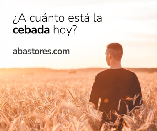 Persona mirando un campo de cebada con texto y URL abastores.com.